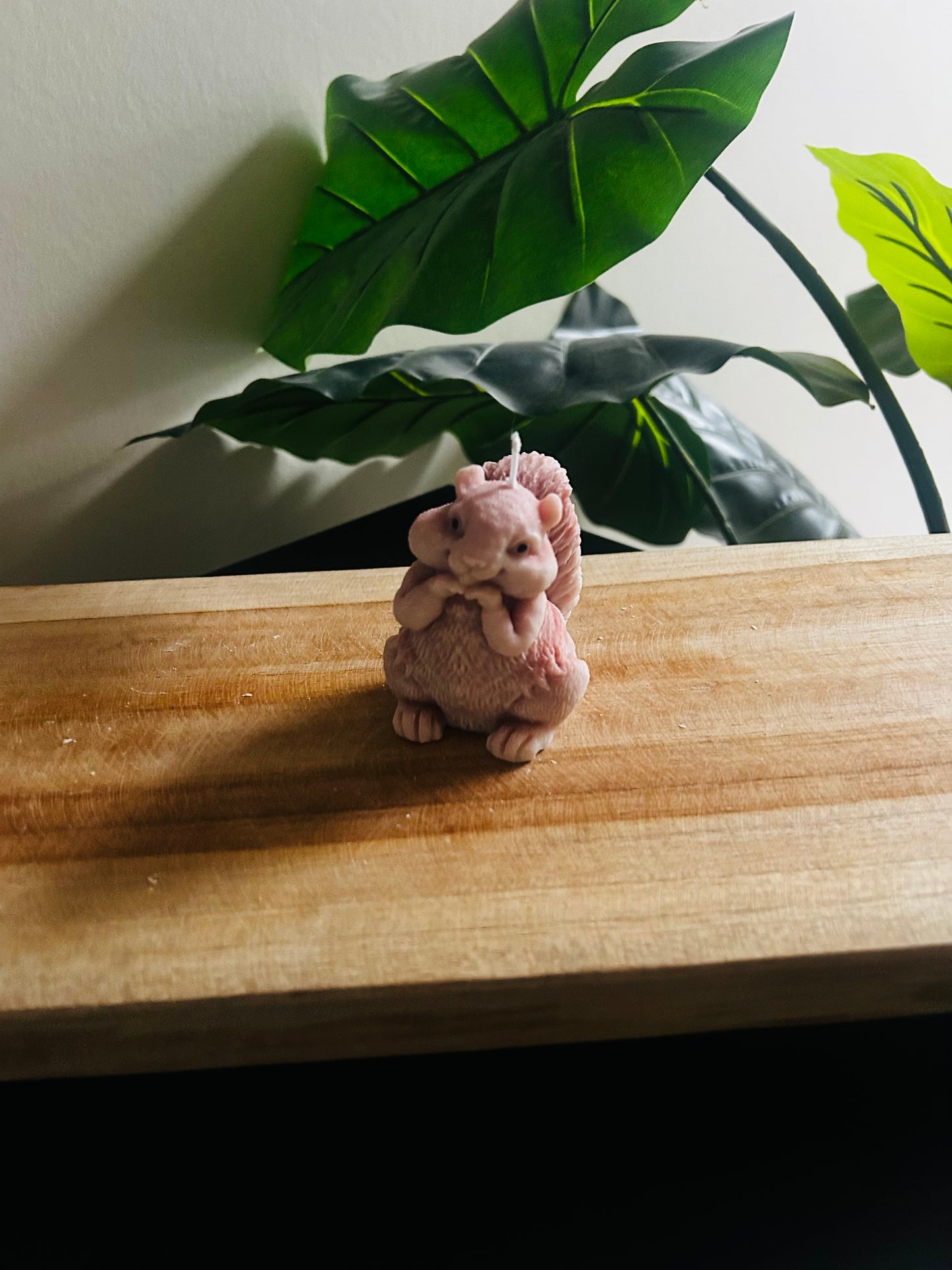 Eekhoorn kaars - sale