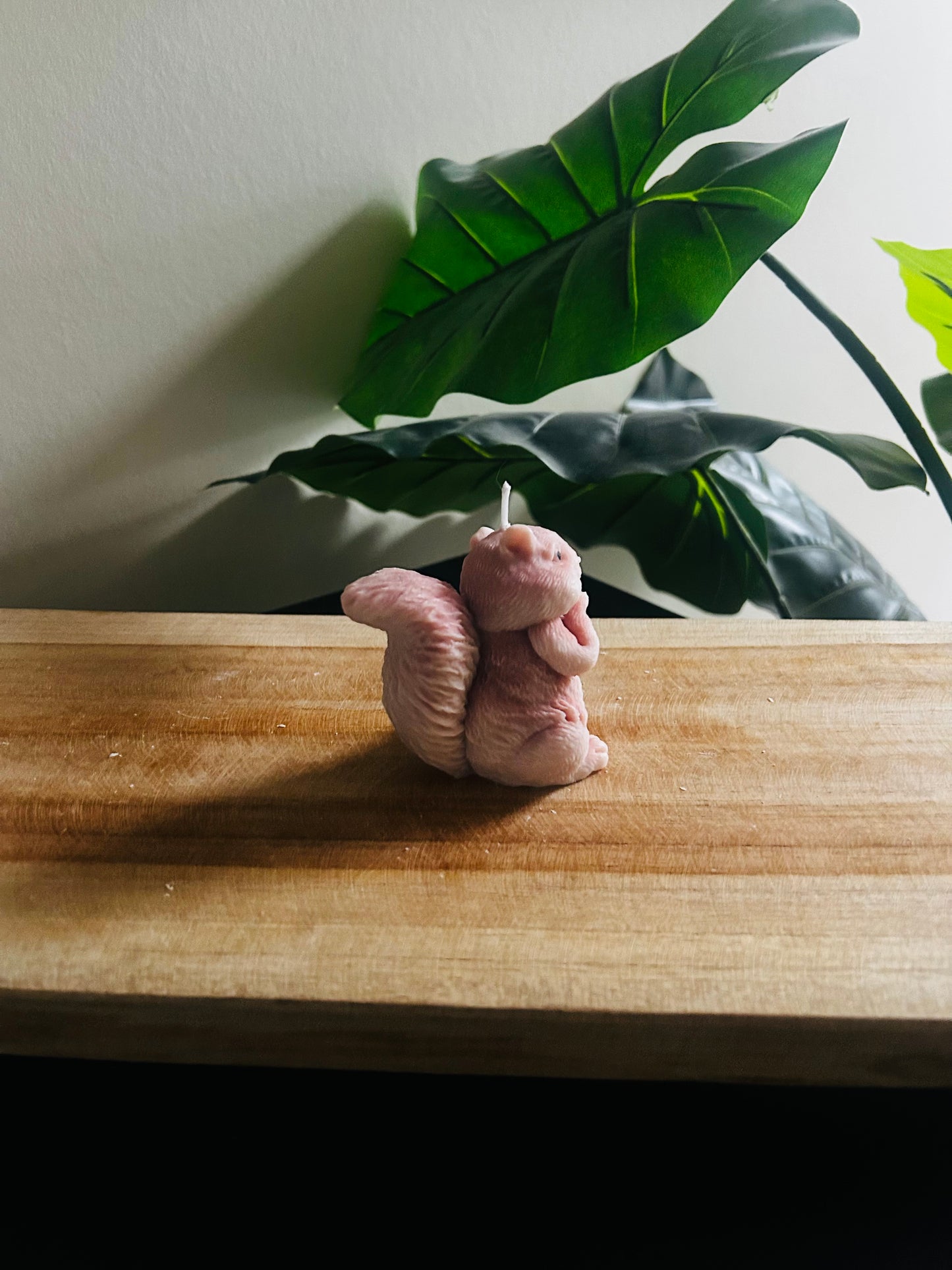 Eekhoorn kaars - sale